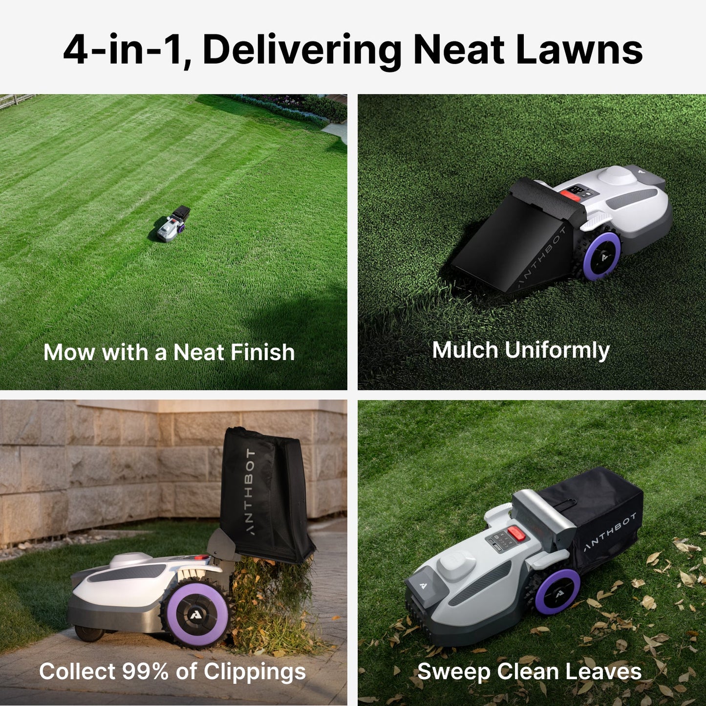 ANTHBOT N8